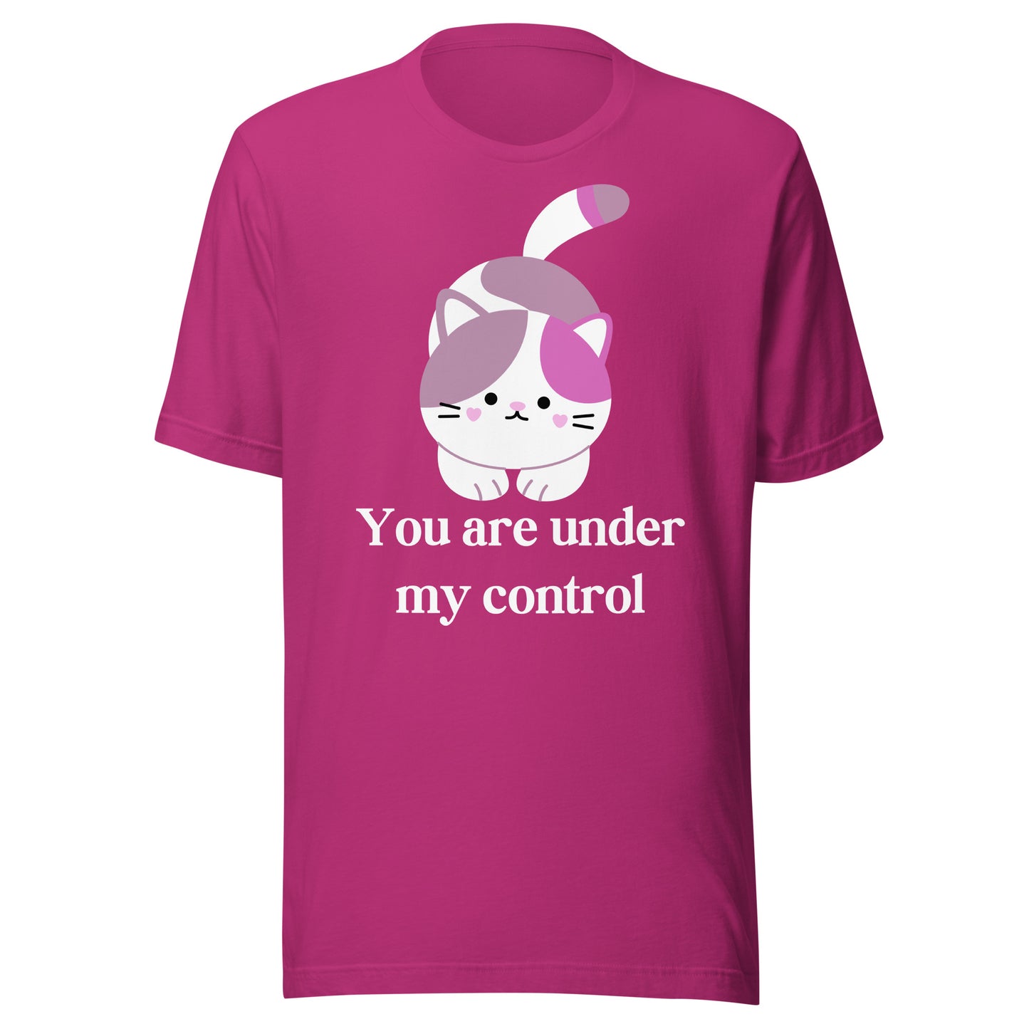 "You're under my control" - Unisex t-shirt