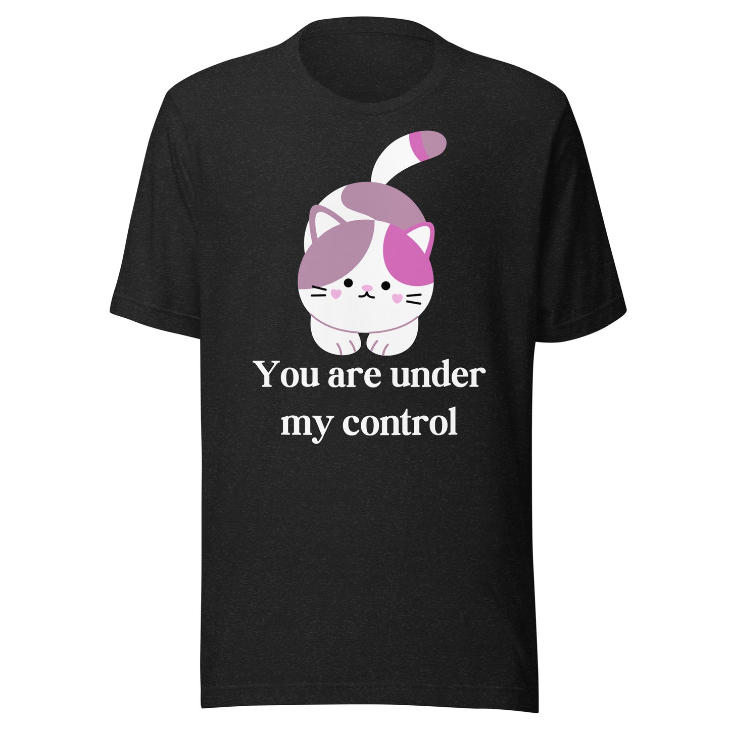 "You're under my control" - Unisex t-shirt