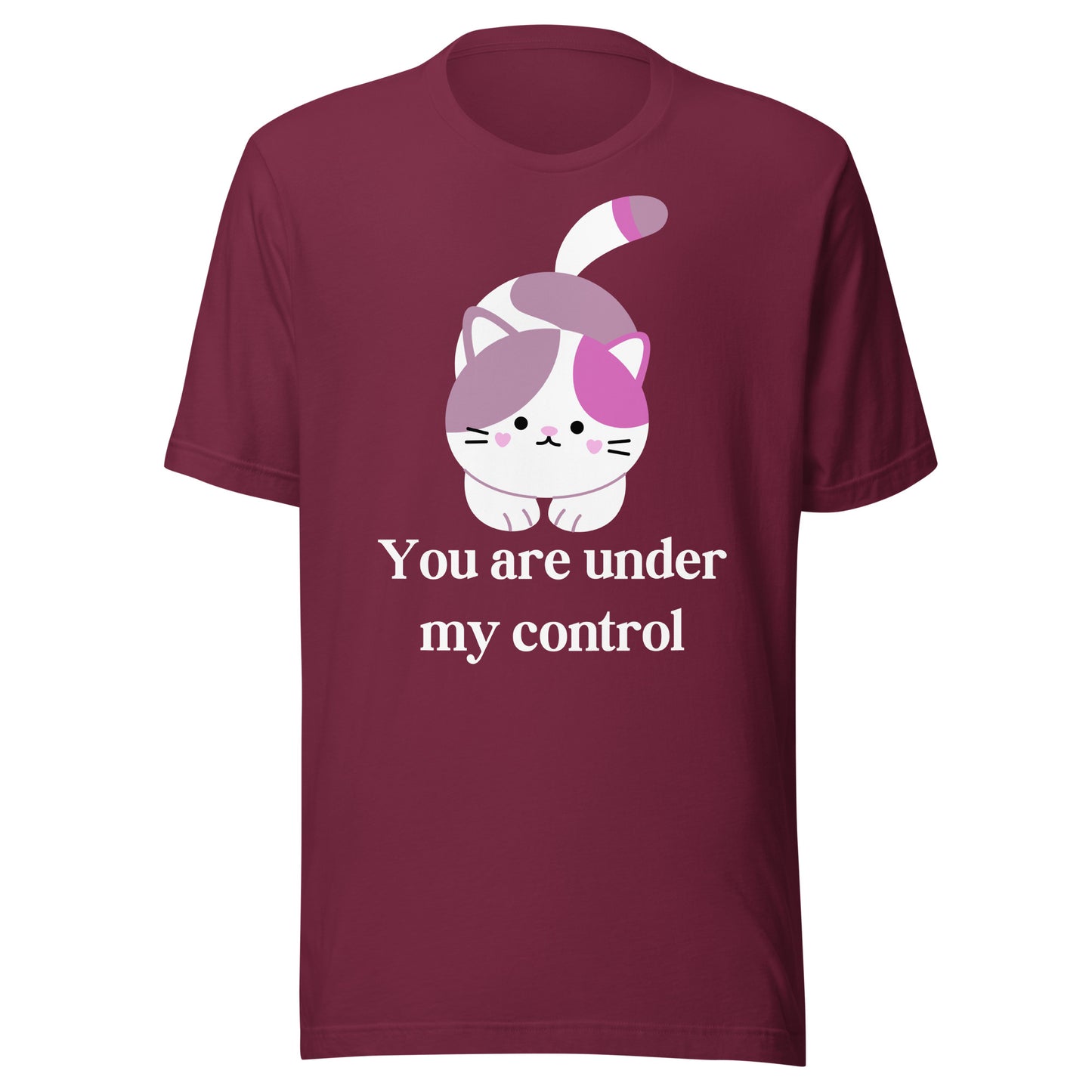 "You're under my control" - Unisex t-shirt